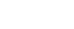 Nicesh - logo